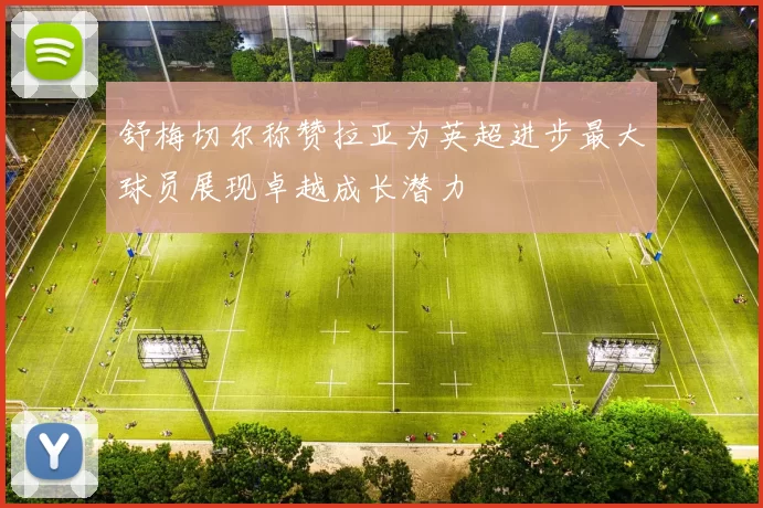 舒梅切尔称赞拉亚为英超进步最大球员展现卓越成长潜力